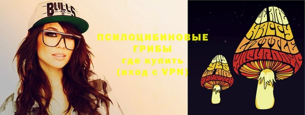 дмт Алзамай
