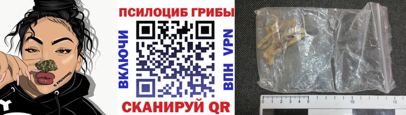 наркошоп  Осинники  Галлюциногенные грибы Psilocybine cubensis 